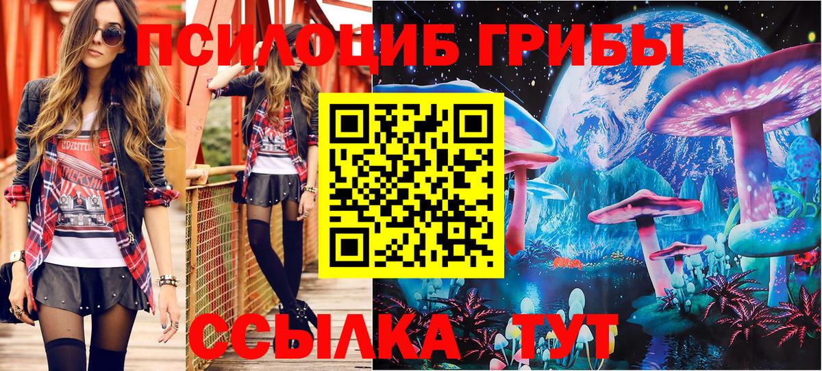 Псилоцибиновые грибы MAGIC MUSHROOMS  купить закладку  Усть-Кут  Псилоцибиновые грибы мицелий  Вход с VPN 